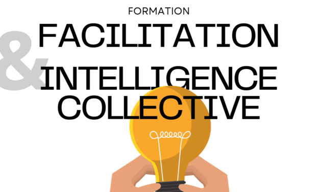 29&30.04.24 – FACILITATION & INTELLIGENCE COLLECTIVE